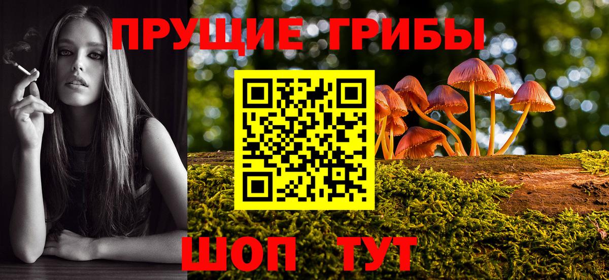 Псилоцибиновые грибы Cubensis  Галлюциногенные грибы GOLDEN TEACHER  Майкоп  Вход с VPN 