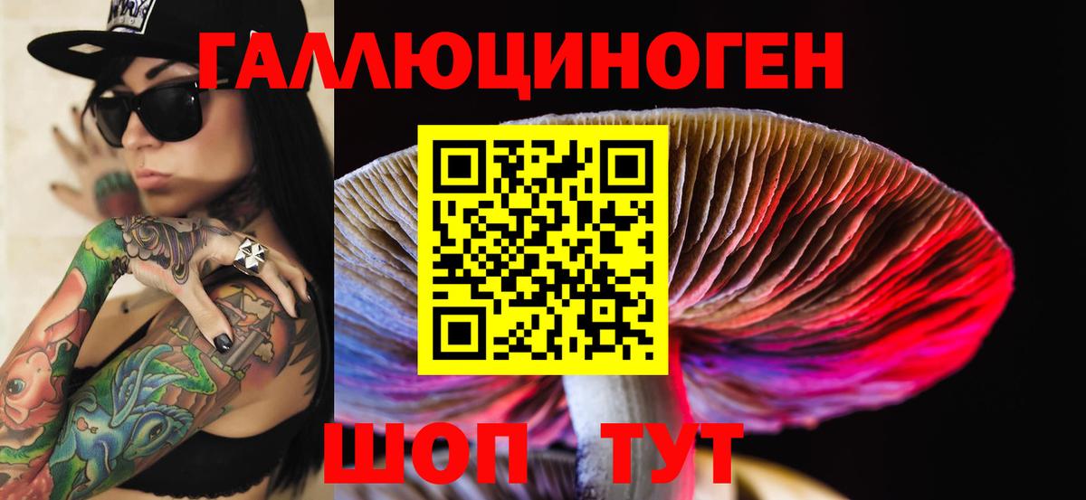 Псилоцибиновые грибы ЛСД Майкоп